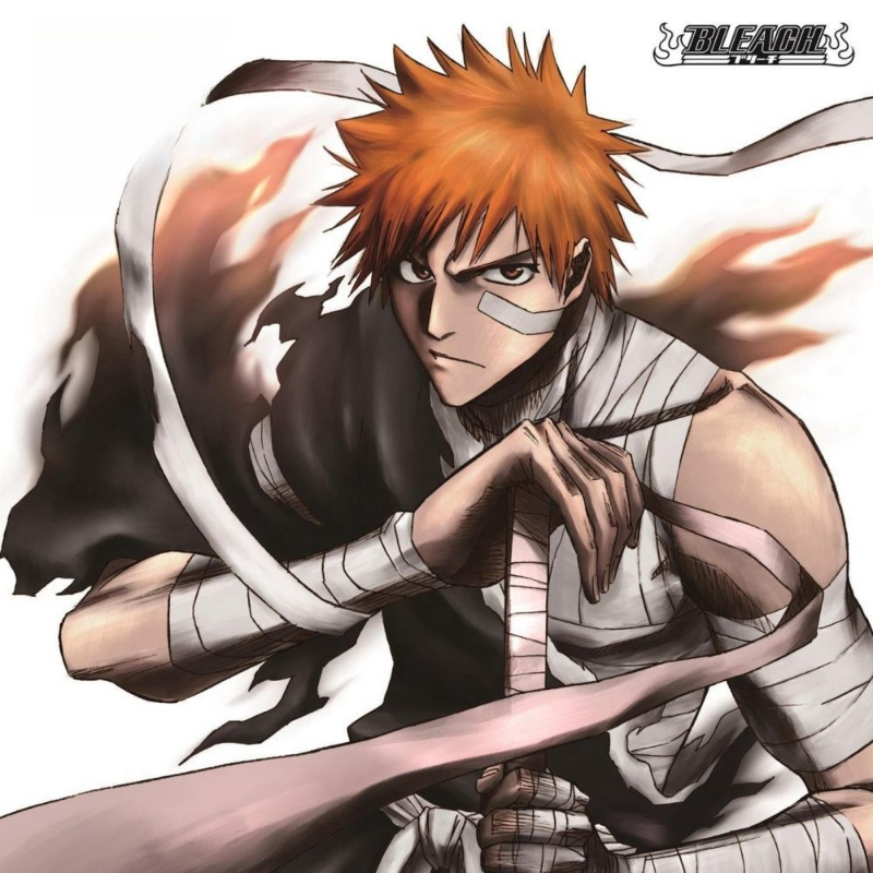 Game Bleach Sagisu Shiro Music – Party Games Gifts recenzja i cena